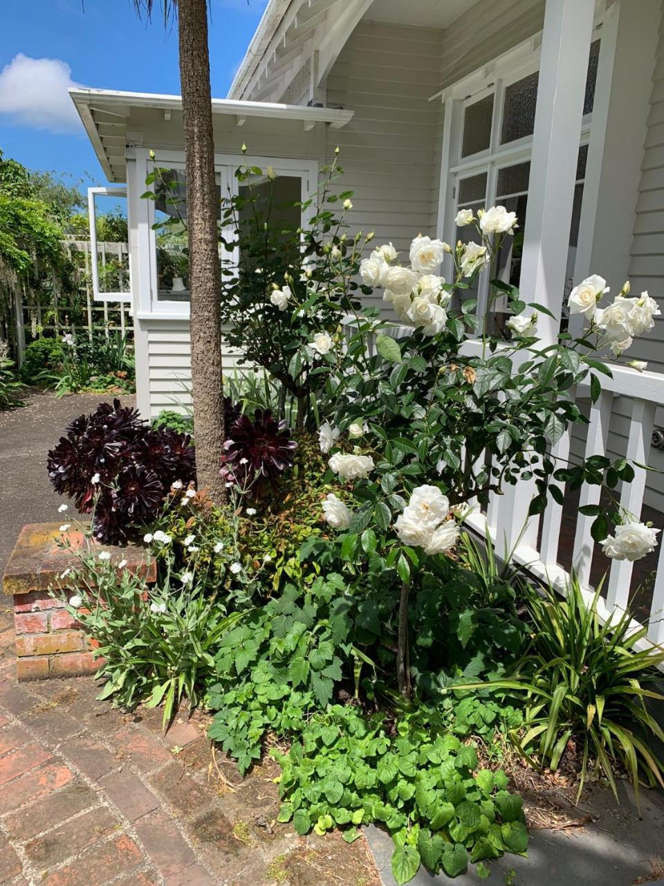 Browns Boutique Bed And Breakfast Whanganui Eksteriør bilde